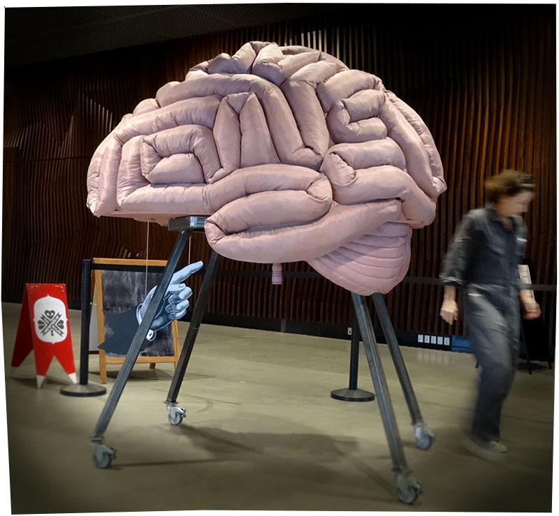 En stor, lyserød hjerne med et skjult wunderkammer eller museum i Dokk1